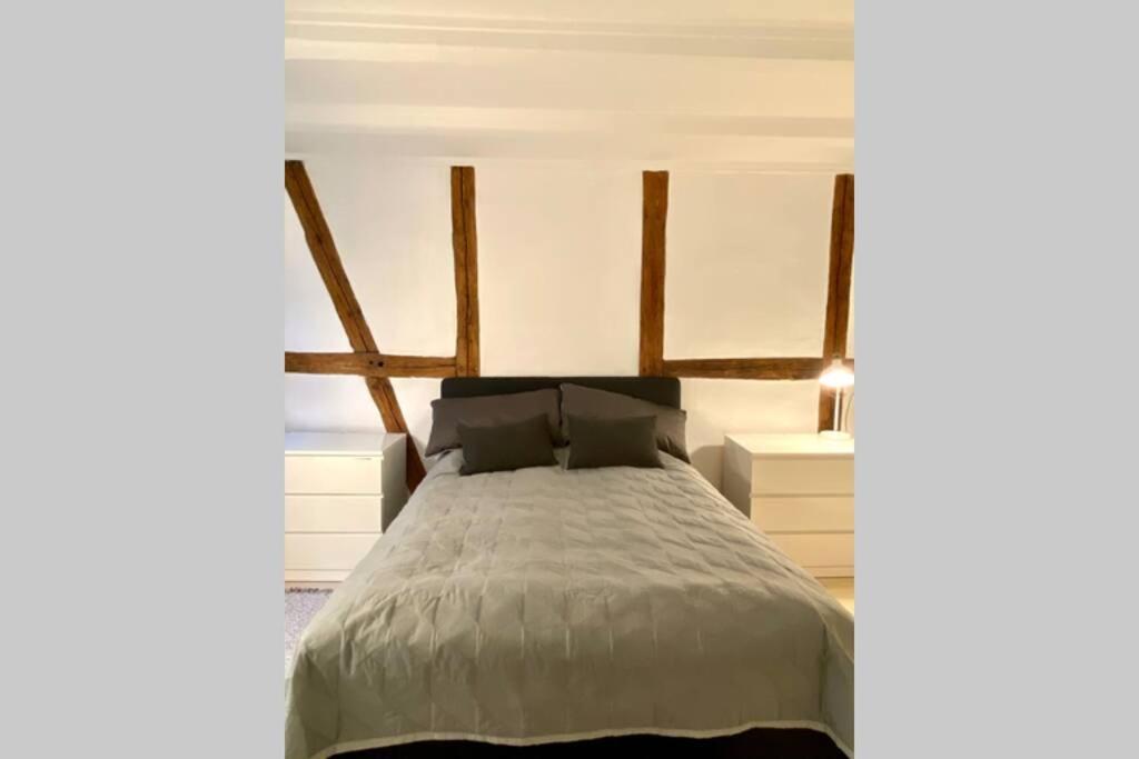 Ferienwohnung Luxury 'Kings Garden' City-Flat In Center Of Town Kopenhagen Exterior foto